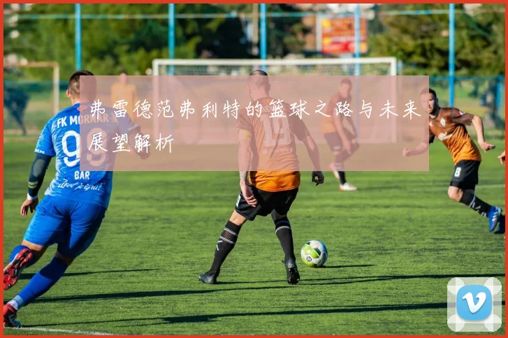 弗雷德范弗利特的篮球之路与未来展望解析