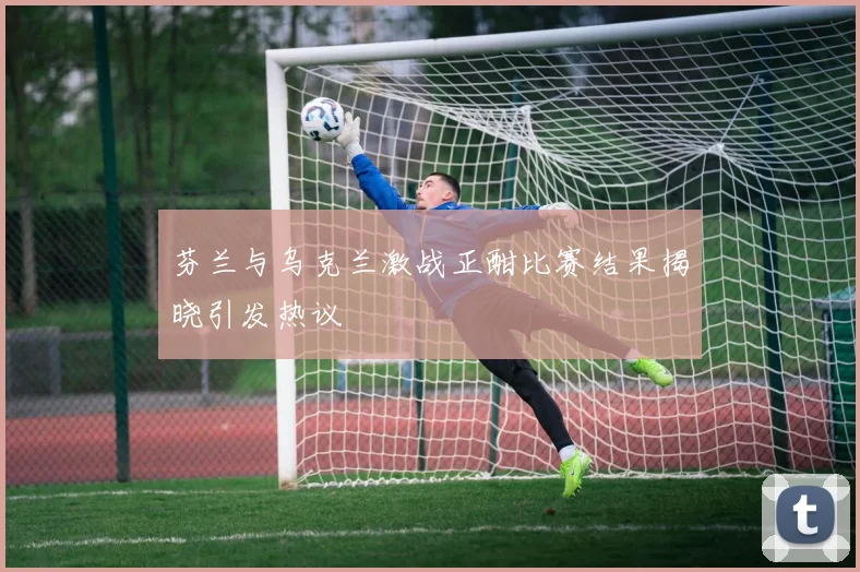 芬兰与乌克兰激战正酣比赛结果揭晓引发热议